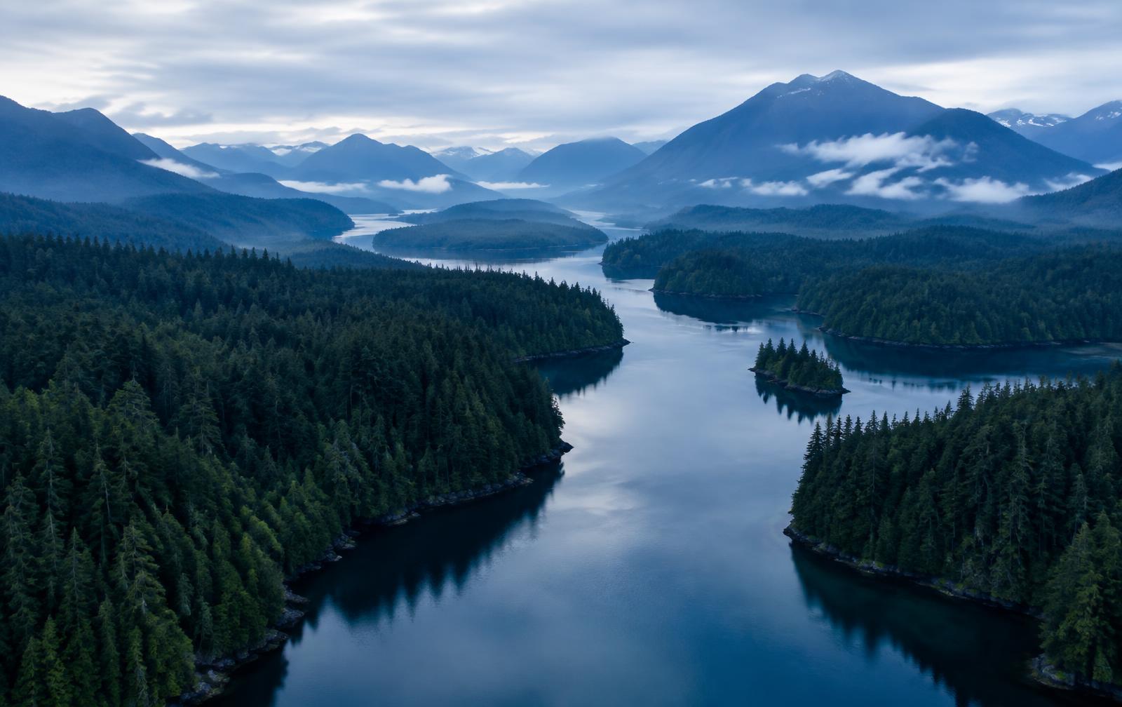 River winding through coastal forest